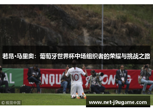 若昂·马里奥：葡萄牙世界杯中场组织者的荣耀与挑战之路