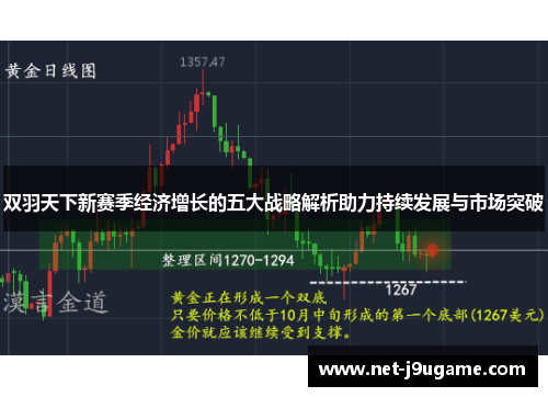 双羽天下新赛季经济增长的五大战略解析助力持续发展与市场突破