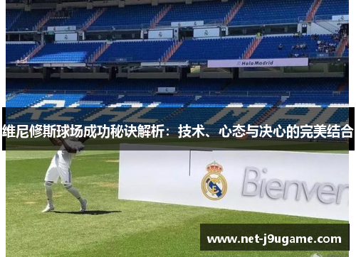 维尼修斯球场成功秘诀解析：技术、心态与决心的完美结合