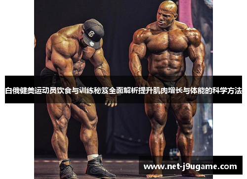 白俄健美运动员饮食与训练秘笈全面解析提升肌肉增长与体能的科学方法