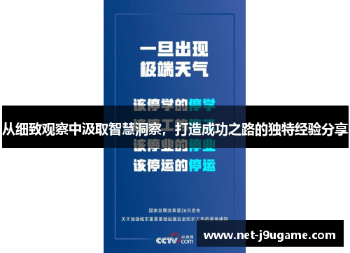 从细致观察中汲取智慧洞察，打造成功之路的独特经验分享